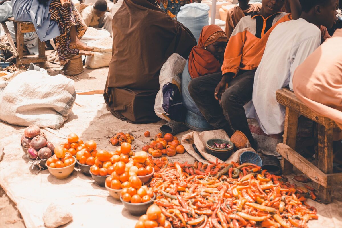 mercato mahmadou nagida repères chiffrés sources